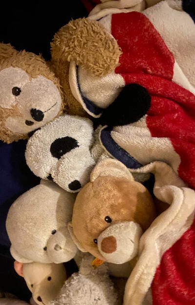 What is the purpose of life, if not to be warm and snug? What is the purpose of life, if not to be warm and snug?