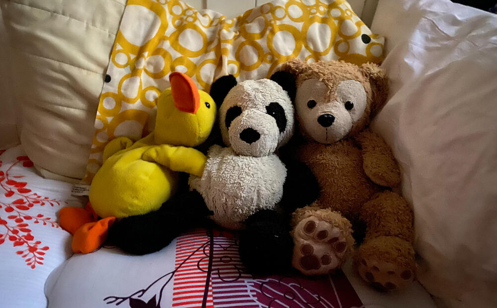 Cozy! Cozy!